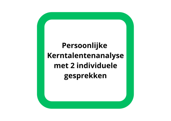 naar informatie kerntalentenanalyse