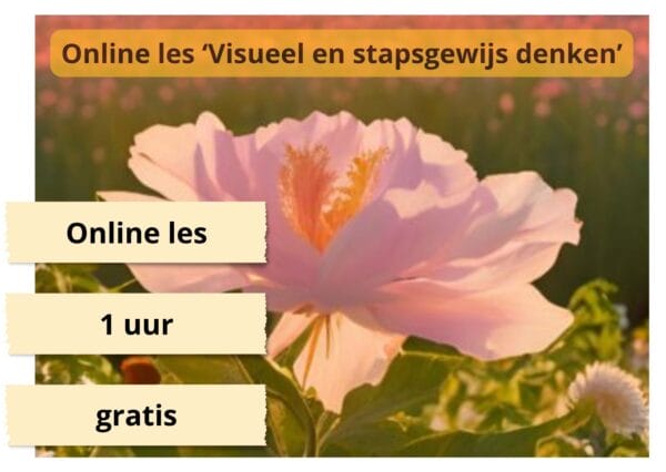 inof online les visueel & stapsgewijs denken