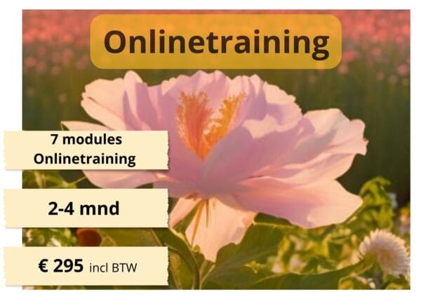 info onlinetraining Voluit hoogbegaafd