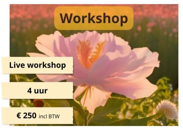 training hoogbegaafdheid