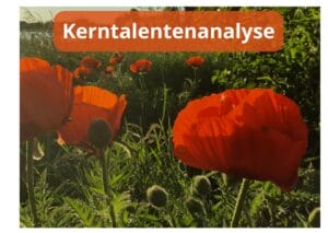info kerntalentenanalyse