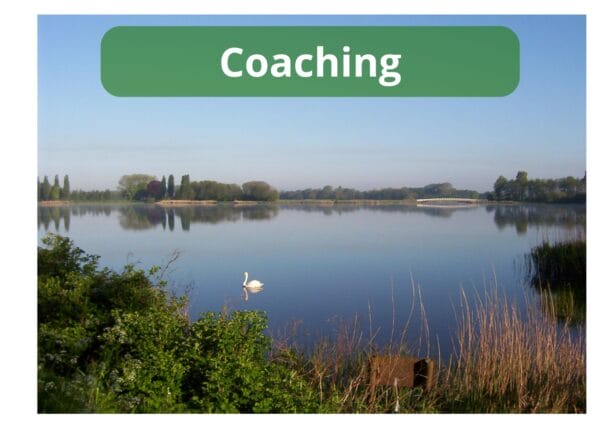 info coaching hoogbegaafdheid